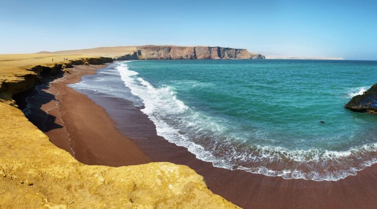 Los secretos mejor guardados de la bahía de Paracas: Experiencias locales más allá del turismo tradicional