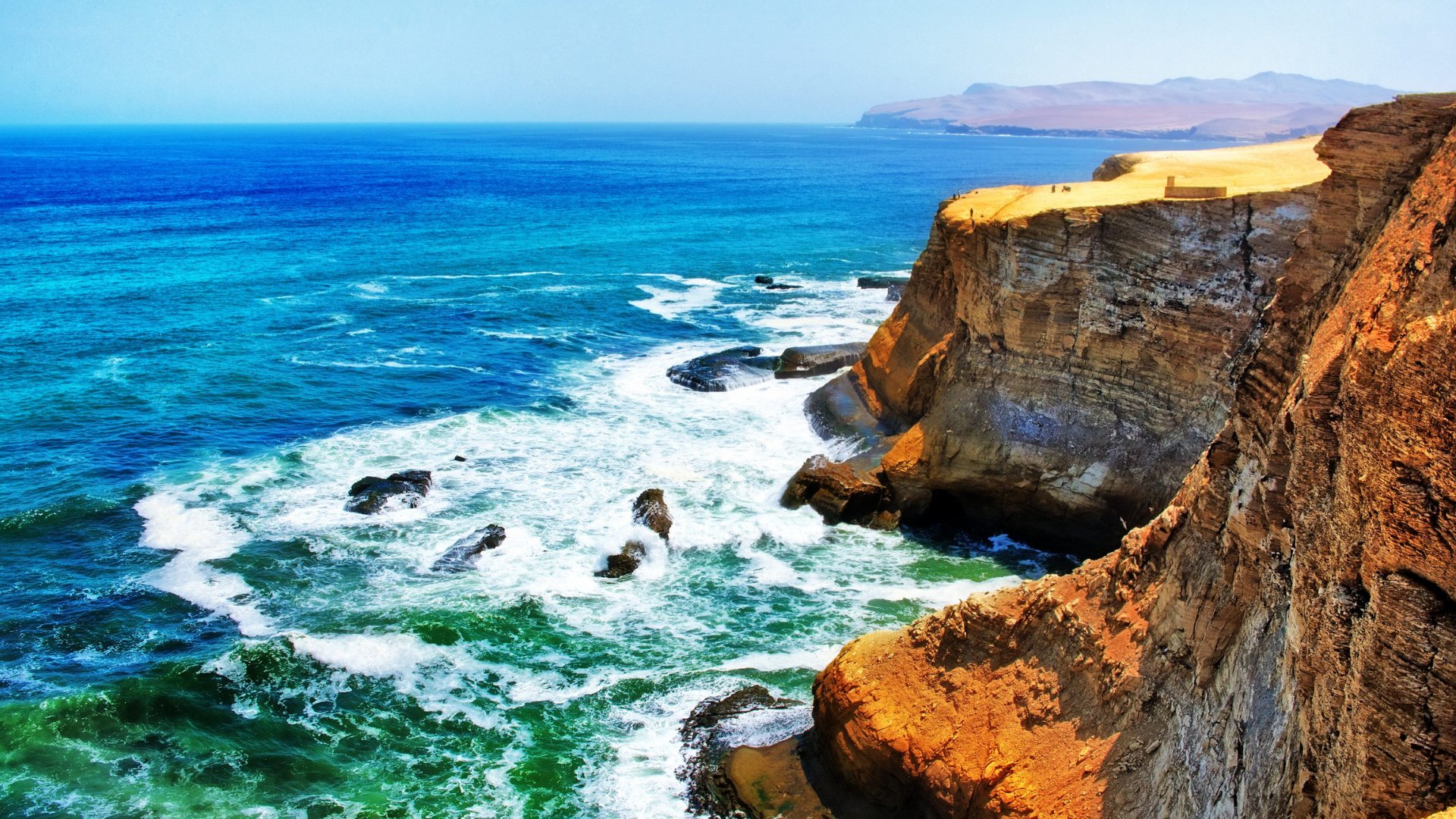 Reserva Nacional de Paracas