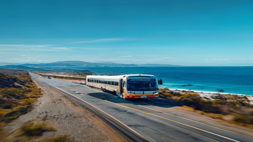 Cómo Llegar a Paracas desde Lima 2026: Bus, Auto y Tren (Comparativa Completa)